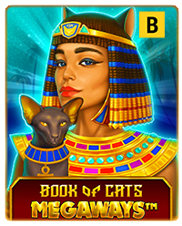 BOOK OF CATS