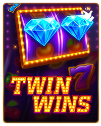 TWIN WINS
